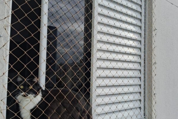 Wha3tsApp Image 2025-05-13 at 18.13.22