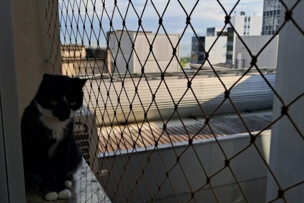 Wha6tsApp Image 2025-05-13 at 18.13.20