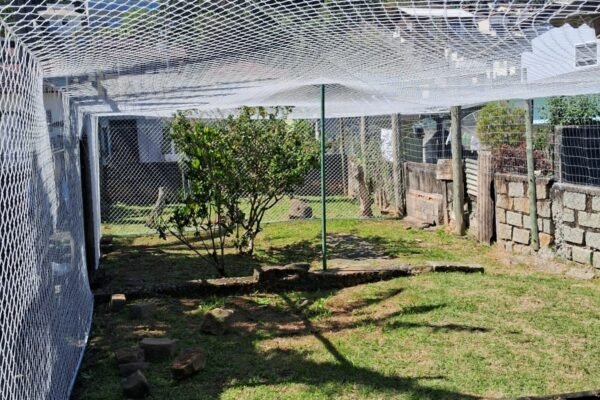 WhatsApp I8mage 2025-05-13 at 18.13.26